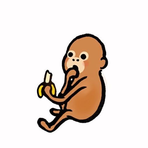 monk eating a banana